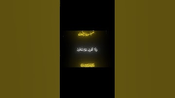 سورة الشعراء | الشيخ ياسر الدوسري #قران #ياسر_الدوسري #quran #fyp #fy