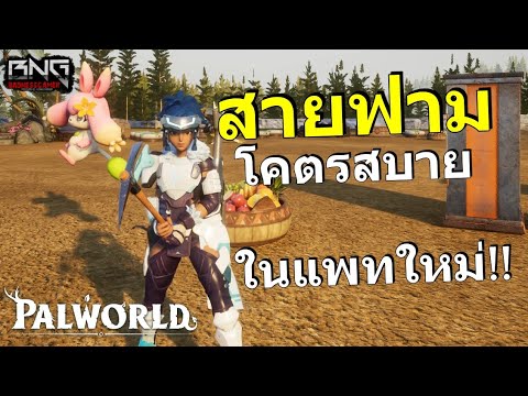 ฟามสบายมากขึ้นในแพทใหม่ล่าสุด 