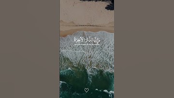 #عبدالرحمن_مسعد #اكتب_شي_توجر_عليه #سورة_العنكبوت #foryou #foryoupage #fyp #viral #quran #كل_نف