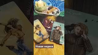 новая неделя вам несет #событиянапороге #таро