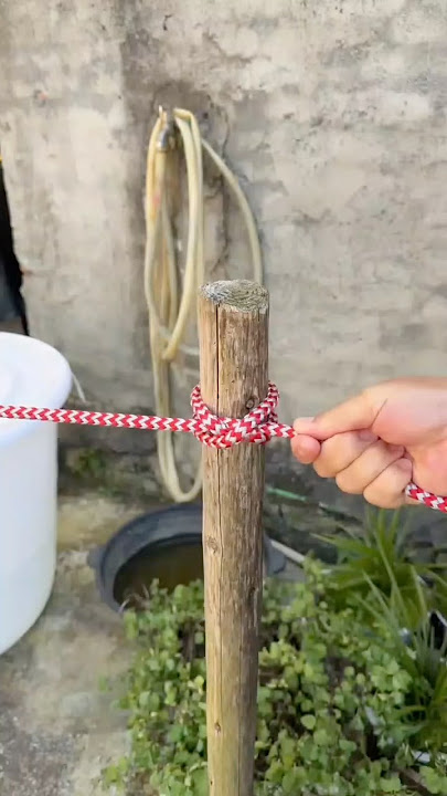 A Classic Knot That Won’t Slip #knowledge #knot #rope