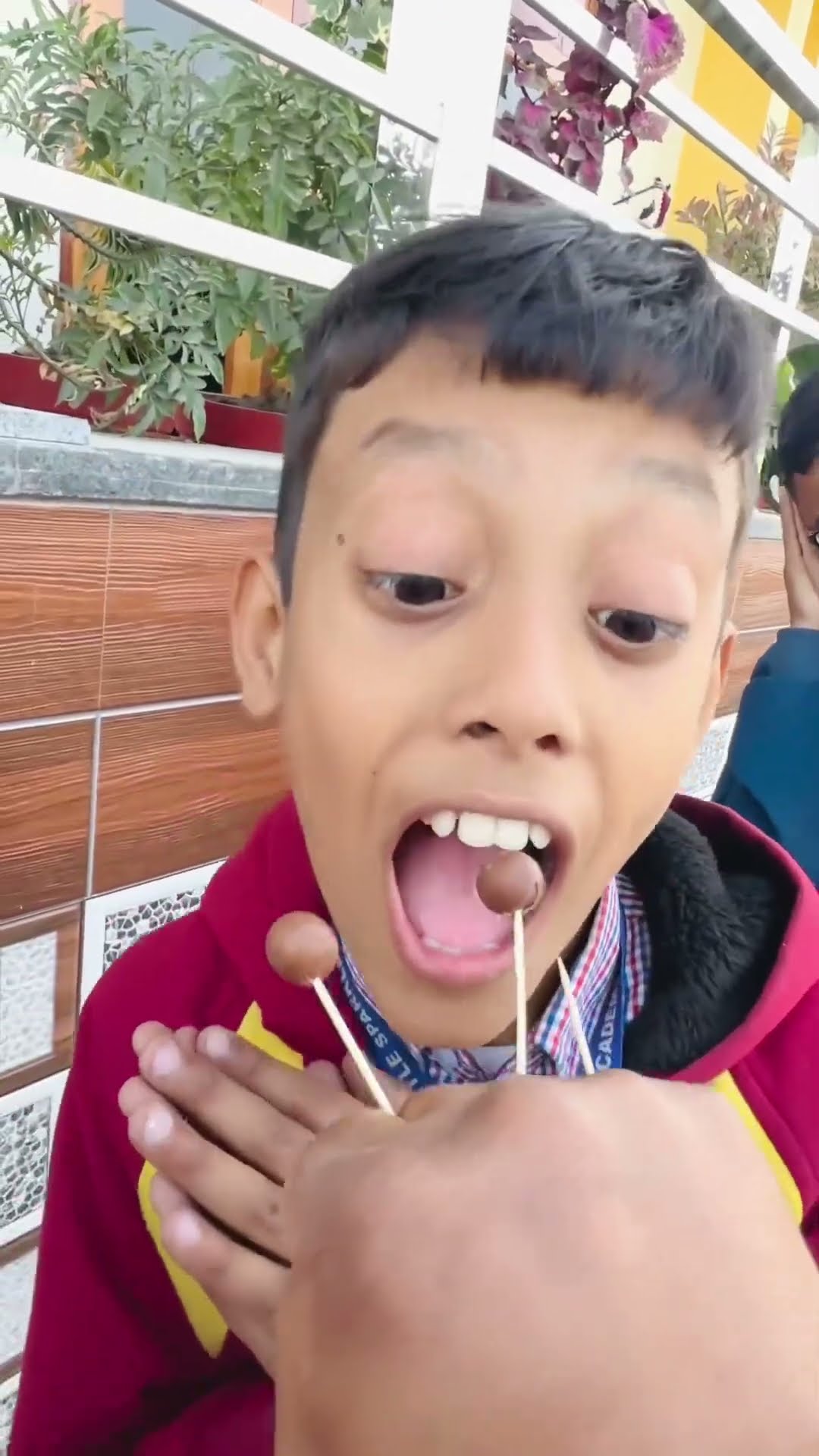 Kabootri ?? #shorts #trending #kabootri #ytshorts #love #viralvideo