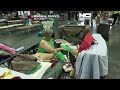 Equipo veterinario en Francia atiende las mascotas de evacuados por incendios