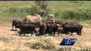 US Trade Rep. visits Omaha farm Wednesday