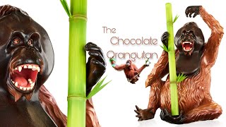 Chocolate Orangutan!