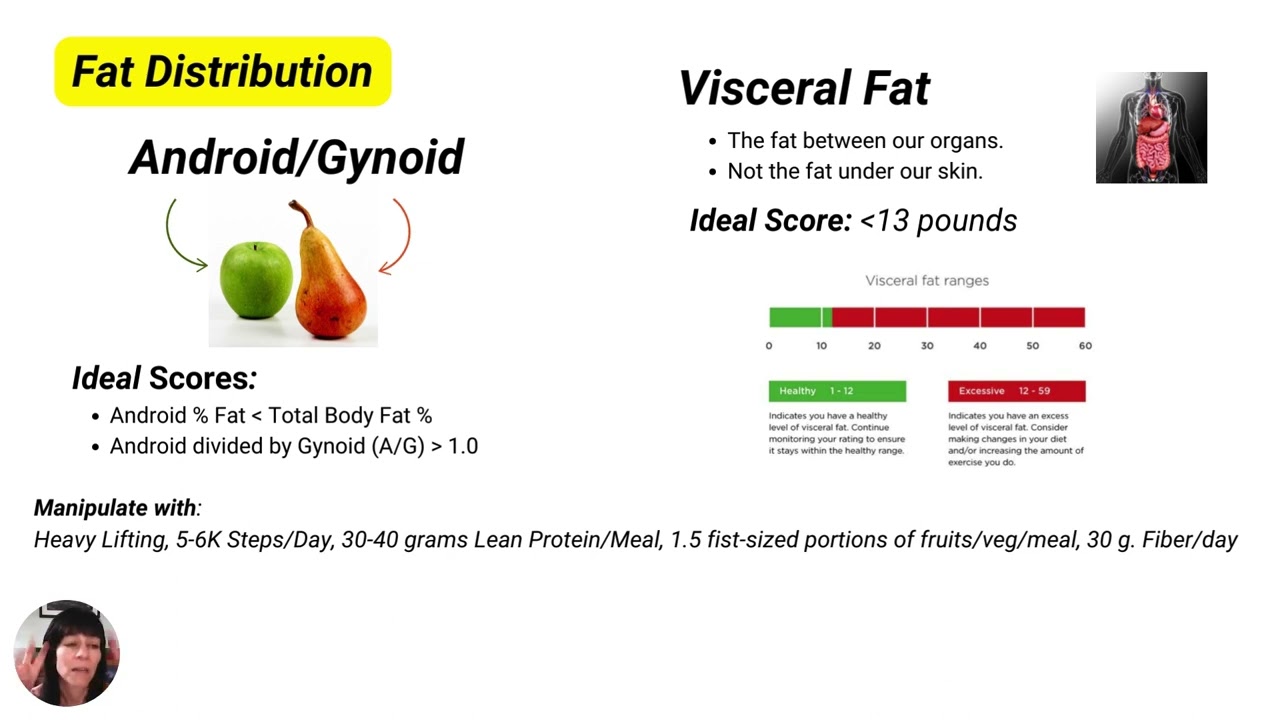 What's this Mean? DEXA Scan. Android Gynoid, Visceral Fat, Skeletal Muscle Mass, Bone Density