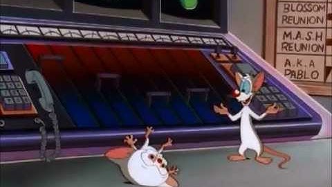 If I Had Brain - Pinky/Brain