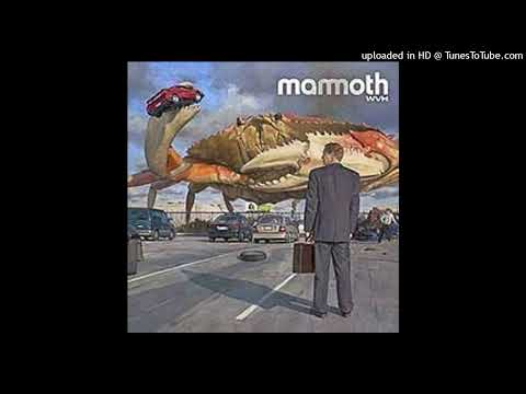 Mammoth WVH -