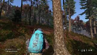 Dayz / purgatorio  Dia 1