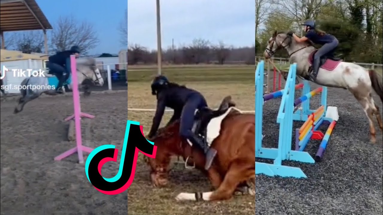 THE BEST HORSE RIDING TIKTOK COMPILATION SHOWJUMPING 2022 3 YouTube