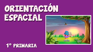 Nociones de orientación espacial para niños (arriba, abajo, derecha, izquierda)