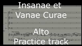 Joseph Haydn - Insanae et vanae curae -  Alto practice track