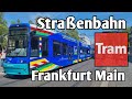 Straßenbahn Frankfurt - Tram Frankfurt | Frankfurt am Main 2022