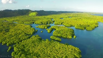 هو الذي جعل الشمس ضياء والقمر نورا " تلاوة رائعة بصوت جميل