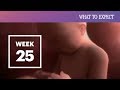 25 Weeks Pregnant | What To Expect