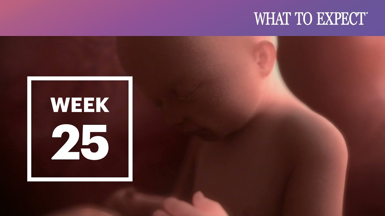 25 Weeks Pregnant What To Expect Your 25th Week Of Pregnancy Youtube