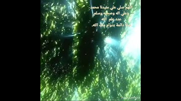 وفديناه بذبح عظيم وتلاوه عطره من سوره الصافات والقارئ الشيخ/داوود محداب.