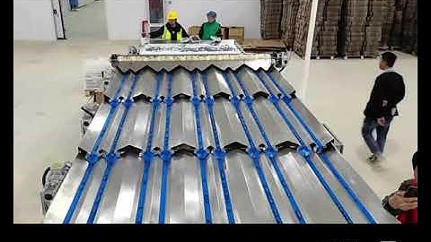 China VSEE blueberry sorting and packing line