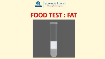 Food Test : Fat | Science Excel
