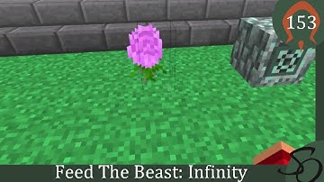 FTB Infinity - E153: Rosa Arcana