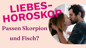 Wie passen Fische Mann und Skorpion Frau zusammen?