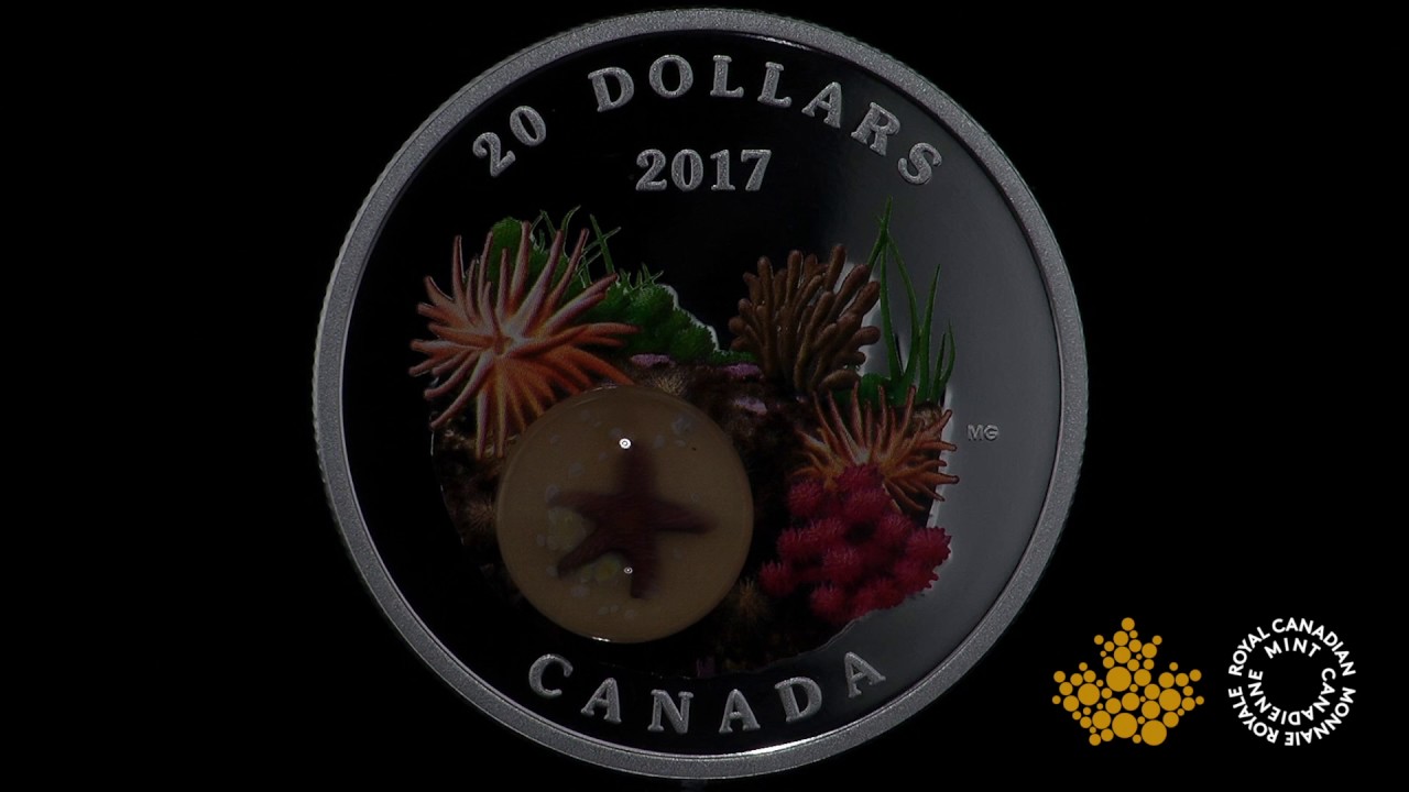 1 oz. Pure Silver Coloured Coin - Under the Sea: Sea Star