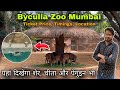 Byculla zoo ticket price  rani bagh mumbai byculla zoo penguins  byculla zoo latests