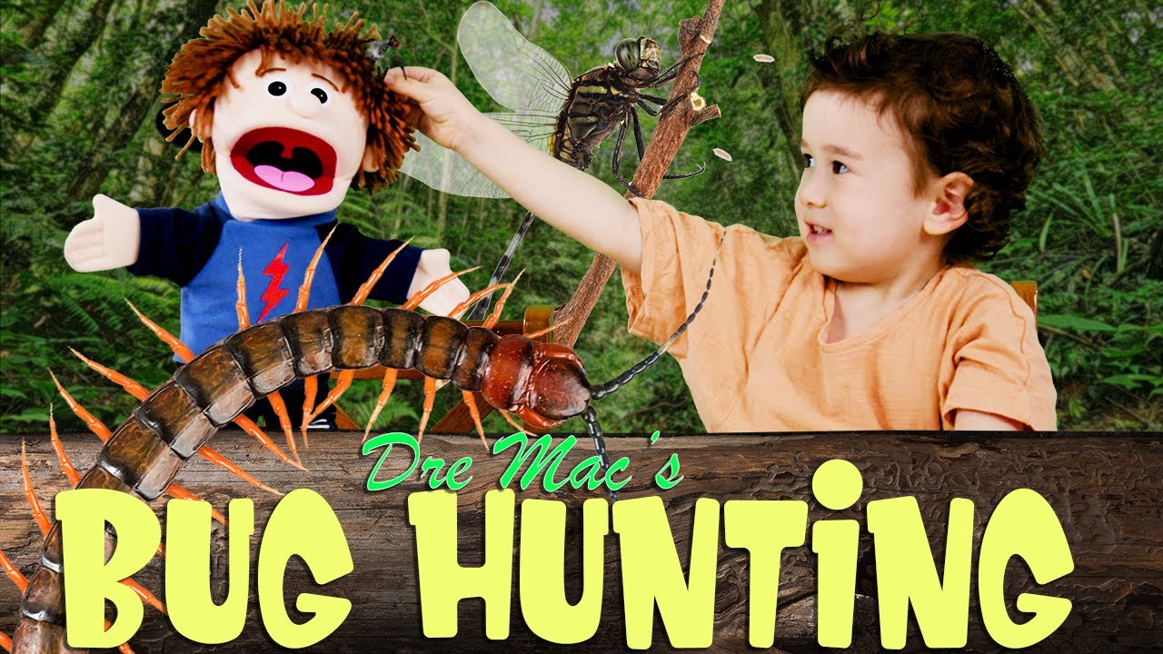 Learning about Bugs with Toddler and Silly Puppets. Learning made fun ...