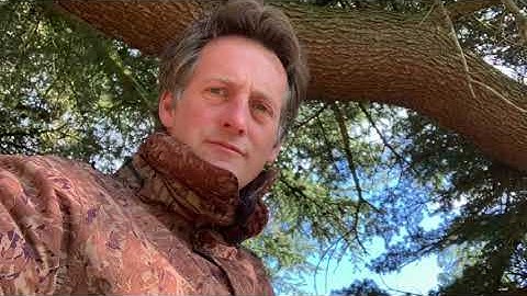 my tree house + duck nest