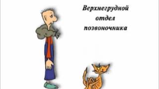 Гимнастика при ВСД (по Норбекову) Гимнастика при ВСД (по Норбекову)