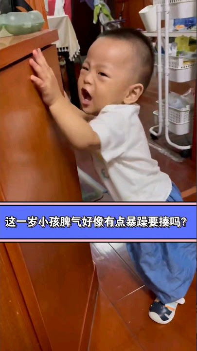 One-Year-Old Toddler's Temper Tantrum Video
