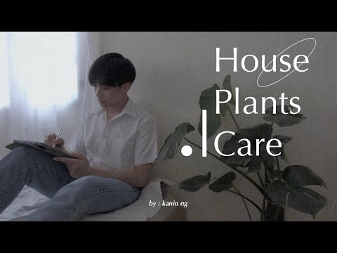วีดีโอ: การชุบแข็ง houseplants: วิธีการย้าย houseplant ข้างนอก