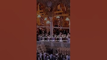 اللهم صل و سلم على محمد ‎القارئ: سعود الشريم السورة: البقره (153-157)