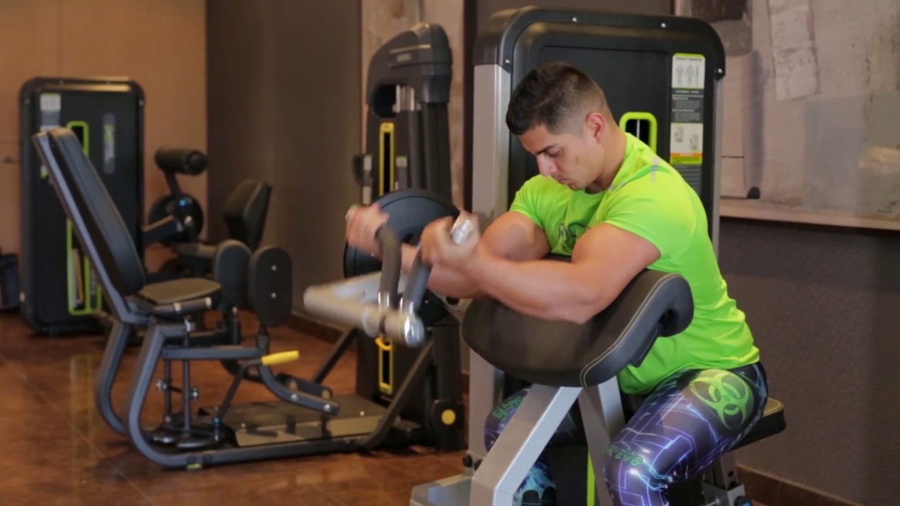Aislar origen Ladrillo Máquina para bíceps de DHZ Fitness - YouTube