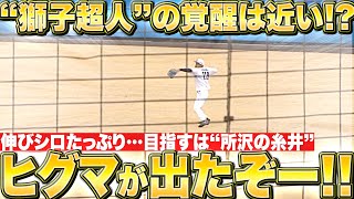 【🐻ヒグマ出没注意】モンテル『伸びシロたっぷり…“獅子超人”の覚醒が待ち遠しい!!』