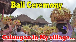 Happy To Celebrate Galungan Ceremony In The Village..!!Galungan Day In Bali...!! Bali Ceremony..!!