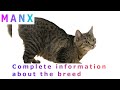 Manx. Pros and Cons, Price, How to choose, Facts, Care, History の動画、YouTube動画。