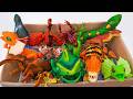 ZURU Robo Alive Collection ASMR 🐍 Anaconda - Chameleon - Scorpion - Tarantula &amp; Insect Toys ASMR 💛✨