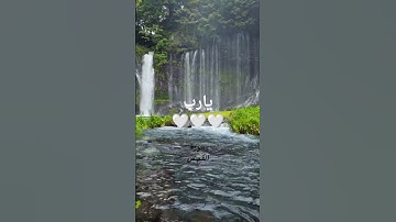 وَنُريدُ أَن نَمُنَّ عَلَى الَّذينَ استُضعِفوا فِي الأَرضِ|محمد صديق المنشاوي/سورة القصص.