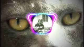 𝘿𝙟 𝙈𝙖𝙡𝙖𝙢 𝙋𝙖𝙜𝙞 𝙓 𝙏𝙝𝙖𝙞 𝘽𝙚𝙖𝙩 2024