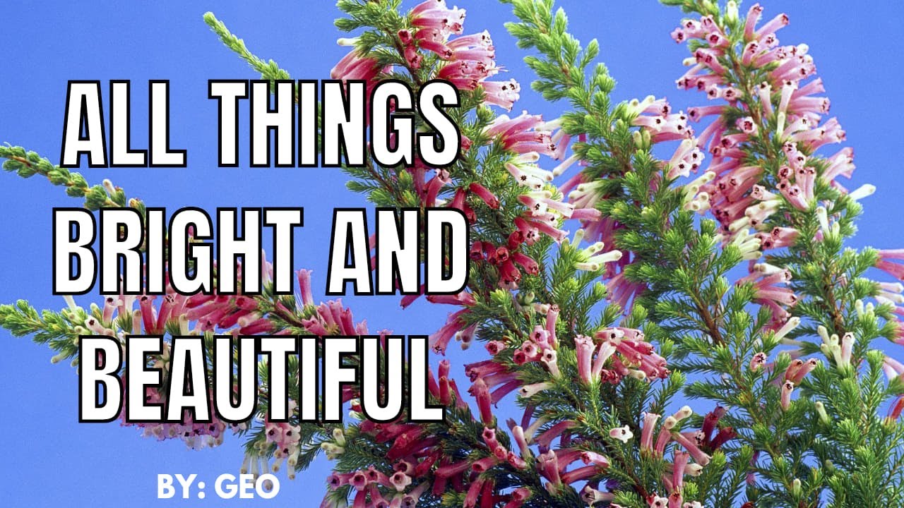 All Things Bright and Beautiful (Piano accompaniment for violin/arr. Catherine McMichael)