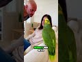 Parrot and Waif This Parrot Became Her Personal Bodyguard#shortvideo#youtub