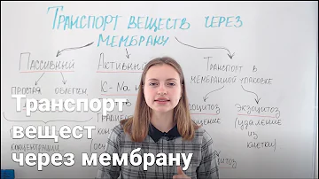 Транспорт веществ через мембрану