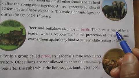 Animals and their behaviour, Evs 4th class,Lesson-5, part-1