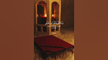 القارئ عبدالرحمن مسعد - الحج أشهر معلومات فمن فرض فيهن الحج فلا رفث ولا فسوق ولا جدال في الحج