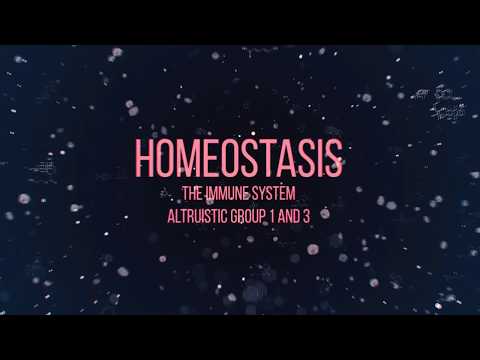 Homeostasis - The Immune System