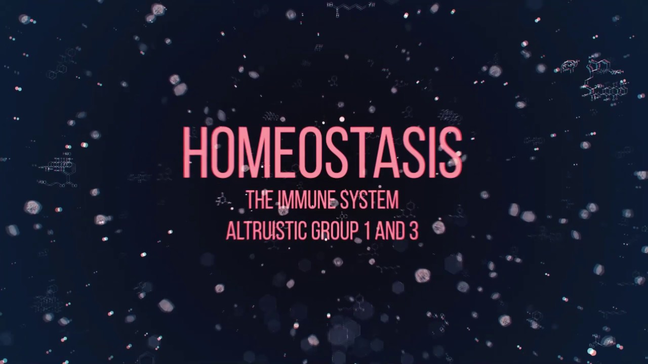 Homeostasis - The Immune System