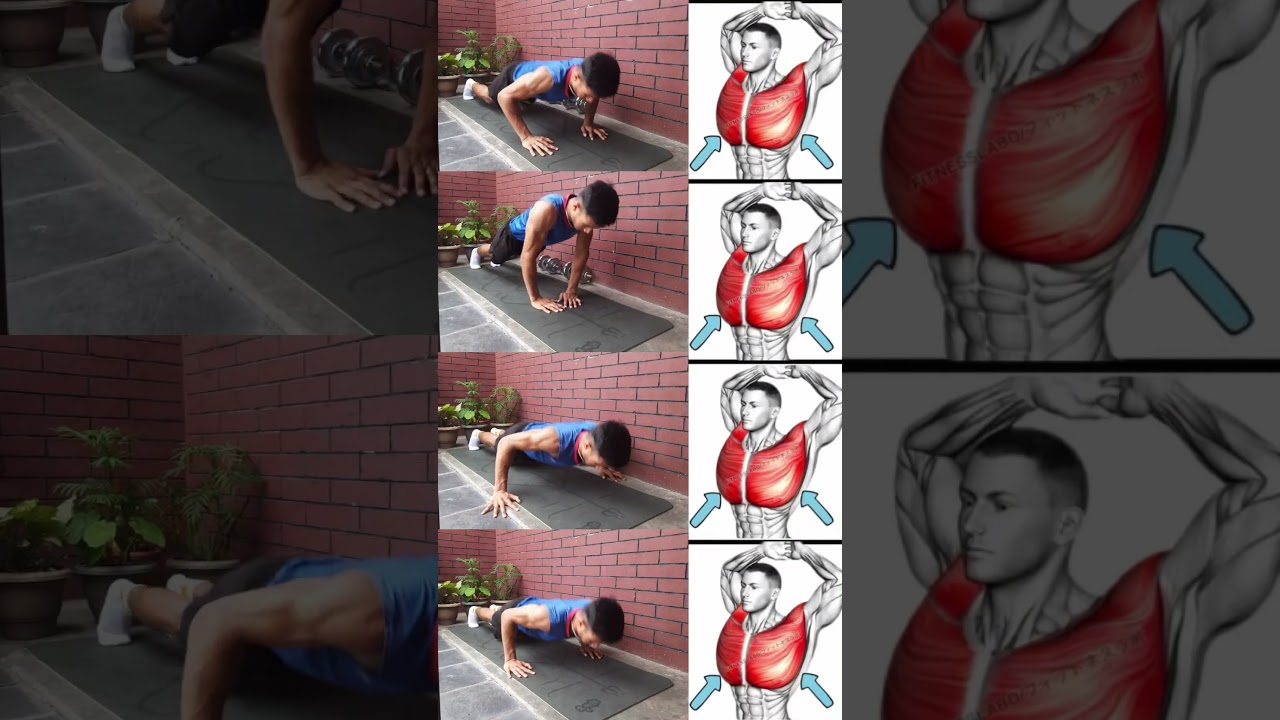 Grow Wider CHEST with Just Pushups Variations!💥🔥✅️