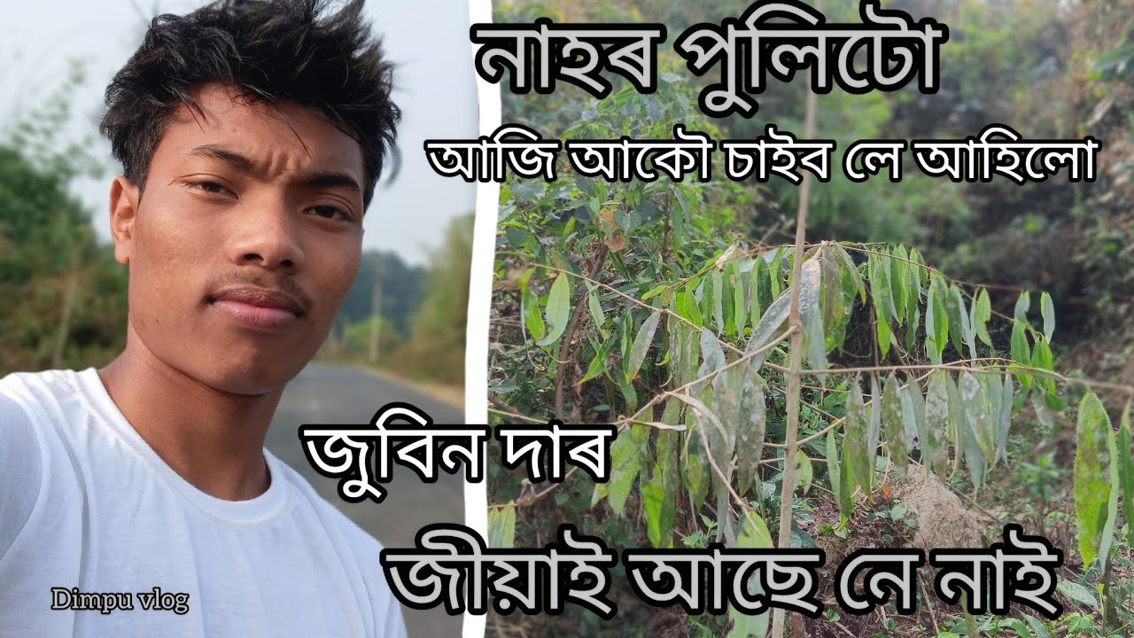 Moi Nathakar Anubhav - Priyadarshan Deka | Zubeen Garg Song