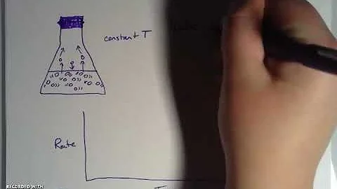 Vapor Pressure and Dynamic Equilibrium